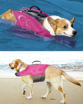 Carica l'immagine nel visualizzatore della galleria, Chien portant un gilet de sauvetage pour chien rose Oscar et Plume dans l'eau et sur la plage