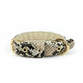 Charger l'image dans la visionneuse de la galerie, Collier en cuir motif serpent avec boucle dorée de l'ensemble collier laisse chic Oscar et Plume
