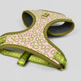 Carica l'immagine nel visualizzatore della galleria, Ensemble harnais et laisse chien Oscar et Plume avec motif avocat sur fond rose et bords verts