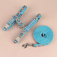 Charger l'image dans la visionneuse de la galerie, Ensemble harnais et laisse bleu au motif ethnique avec attache métallique pour animaux