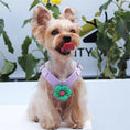 Carica l'immagine nel visualizzatore della galleria, Petit chien portant un ensemble harnais et laisse lilas avec fleur verte pour promenade confortable