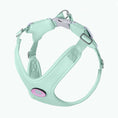 Carica l'immagine nel visualizzatore della galleria, Ensemble harnais et laisse vert menthe pour chien avec boucle réglable et rembourrage confortable