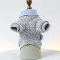 Carica l'immagine nel visualizzatore della galleria, Ensemble sweat chemise chien gris clair avec col bleu rayé par Oscar et Plume sur mannequin