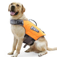 Cargar la imagen en la vista de la galería, Chien portant un gilet de sauvetage pour chien orange et gris de la marque Oscar et Plume