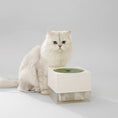 Charger l'image dans la visionneuse de la galerie, Chat blanc près d'une fontaine à eau pour chat design moderne Oscar et Plume dans un intérieur lumineux