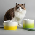 Load image into Gallery viewer, Chat à poils longs près de deux fontaines en céramique pour chat jaune et verte de la marque Oscar et Plume