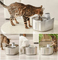 Carica l'immagine nel visualizzatore della galleria, Fontaine sans fil pour chat en acier inoxydable avec distributeur d'eau automatique utilisée par différents chats