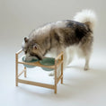Load image into Gallery viewer, Chien mangeant dans une gamelle céramique réglable chien sur support en bois naturel