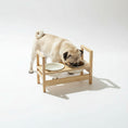 Load image into Gallery viewer, Chien qui mange dans une gamelle céramique réglable chien sur support en bois clair