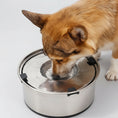 Charger l'image dans la visionneuse de la galerie, Chien mangeant dans une gamelle chien anti éclaboussure en acier inoxydable avec clips antidérapants