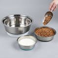 Charger l'image dans la visionneuse de la galerie, Gamelle chien inoxydable Oscar et Plume avec bol pour croquettes et bol pour eau sur sol en bois