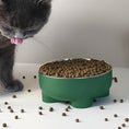 Charger l'image dans la visionneuse de la galerie, Gamelle séparable chien et chat Oscar et Plume verte remplie de croquettes avec un chat gris proche