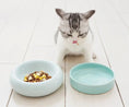 Charger l'image dans la visionneuse de la galerie, Gamelle surélevée pour chat en céramique bleu avec croquettes, idéale pour le confort alimentaire des félins
