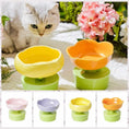 Load image into Gallery viewer, Gamelles en céramique colorées pour chats avec socles verts, design floral et forme originale