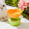 Charger l'image dans la visionneuse de la galerie, Gamelles en céramique jaune et verte pour animaux avec design fleur et chat blanc à côté