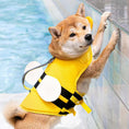 Charger l'image dans la visionneuse de la galerie, Chien portant un gilet de sauvetage chien jaune avec poignées de sécurité près de la piscine