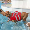 Charger l'image dans la visionneuse de la galerie, Chien portant un gilet de sauvetage pour chien rouge avec poignées dans une piscine