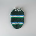 Charger l'image dans la visionneuse de la galerie, Gilet en laine pour chat vert et bleu avec un design rayé élégant et confortable