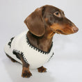 Charger l'image dans la visionneuse de la galerie, Petit chien portant un gilet pour petit chien blanc avec bordure noire de la marque Oscar et Plume