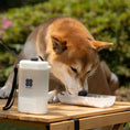 Charger l'image dans la visionneuse de la galerie, Gourde de voyage chien et chat blanche avec bol intégré utilisée par un chien Shiba Inu en plein air