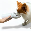 Charger l'image dans la visionneuse de la galerie, Gourde pliante chien chat Oscar et Plume tenue à la main pour donner de l'eau à un chien en promenade