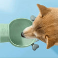 Charger l'image dans la visionneuse de la galerie, Gourde pour chien et chat de Oscar et Plume avec bol intégré pour une hydratation facile