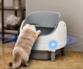 Charger l'image dans la visionneuse de la galerie, Chat interagissant avec une grande litière connectée Oscar et Plume moderne et fonctionnelle