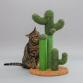 Charger l'image dans la visionneuse de la galerie, Chat utilisant un griffoir cactus design vert d'Oscar et Plume sur un tapis marron