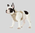 Charger l'image dans la visionneuse de la galerie, Harnais anti-traction pour chien Oscar et Plume en couleur beige, parfait pour les promenades
