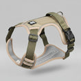 Charger l'image dans la visionneuse de la galerie, Harnais anti-traction pour chien Oscar et Plume en olive avec rembourrage confortable et attache réglable