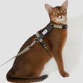 Charger l'image dans la visionneuse de la galerie, Harnais et laisse pour chat Oscar et Plume en couleur olive, idéal pour les promenades en extérieur.