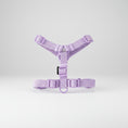 Charger l'image dans la visionneuse de la galerie, Harnais et laisse pour petit chien violet clair ajustable de la marque Oscar et Plume