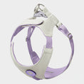 Charger l'image dans la visionneuse de la galerie, Harnais petit chien Oscar et Plume réglable en tissu beige et violet confortable et sécurisé