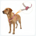 Carica l'immagine nel visualizzatore della galleria, Oscar et Plume harnais pour chien coton rose ajustable avec boucles metal et doublure douce pour promenades