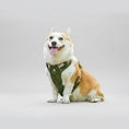 Carica l'immagine nel visualizzatore della galleria, Corgi souriant assis en forêt portant un harnais vert Oscar et Plume montrant le harnais pour chien moyen et grand