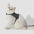 Carica l'immagine nel visualizzatore della galleria, Harnais réfléchissant pour chat en noir, conçu pour le confort et la sécurité des félins