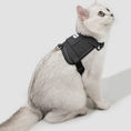 Carica l'immagine nel visualizzatore della galleria, Harnais réfléchissant pour chat gris avec dispositif de sécurité pour promenades nocturnes