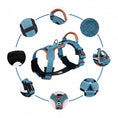 Charger l'image dans la visionneuse de la galerie, Harnais réfléchissant pour chien bleu avec des détails en cuir et des ajustements confortables