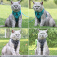 Carica l'immagine nel visualizzatore della galleria, Chat portant harnais réfléchissant pour chien Oscar et Plume en différentes couleurs outdoor