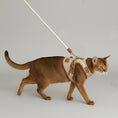 Load image into Gallery viewer, Harnais réglable pour chat en cuir avec laisse, permettant des promenades confortables et sécurisées