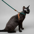 Load image into Gallery viewer, Harnais réglable pour chat en vert avec une laisse assortie pour une promenade confortable