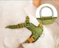 Carica l'immagine nel visualizzatore della galleria, Oscar et Plume harnais robuste pour chien en tissu vert olive avec boucle rapide et anneau metal pour promenade