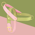 Carica l'immagine nel visualizzatore della galleria, Harnais chien élégant en cuir rose et vert avec attaches dorées signé Oscar et Plume