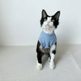 Carica l'immagine nel visualizzatore della galleria, T-shirt pour chat Oscar et Plume en bleu pour un look élégant et confortable