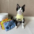 Carica l'immagine nel visualizzatore della galleria, T-shirt pour chat en jaune avec une sélection de couleurs vives en arrière-plan.