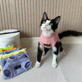 Carica l'immagine nel visualizzatore della galleria, T-shirt pour chat en rose avec plusieurs options de couleurs en arrière-plan pour le confort des animaux