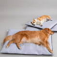 Charger l'image dans la visionneuse de la galerie, Coussin rafraichissant déhoussable pour chien Oscar et Plume S