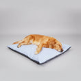 Charger l'image dans la visionneuse de la galerie, Coussin rafraichissant déhoussable pour chien Oscar et Plume S