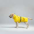 Charger l'image dans la visionneuse de la galerie, Imperméable confort pour chien jaune avec capuche et sangle réglable pour balade en extérieur