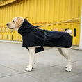 Carica l'immagine nel visualizzatore della galleria, Imperméable confort pour chien noir avec capuche, modèle Oscar et Plume, idéal pour les promenades sous la pluie